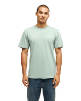 The Quiksilver Mens Basic T-Shirt in Iceberg Green