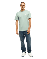 The Quiksilver Mens Basic T-Shirt in Iceberg Green