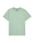 The Quiksilver Mens Basic T-Shirt in Iceberg Green