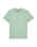 The Quiksilver Mens Basic T-Shirt in Iceberg Green