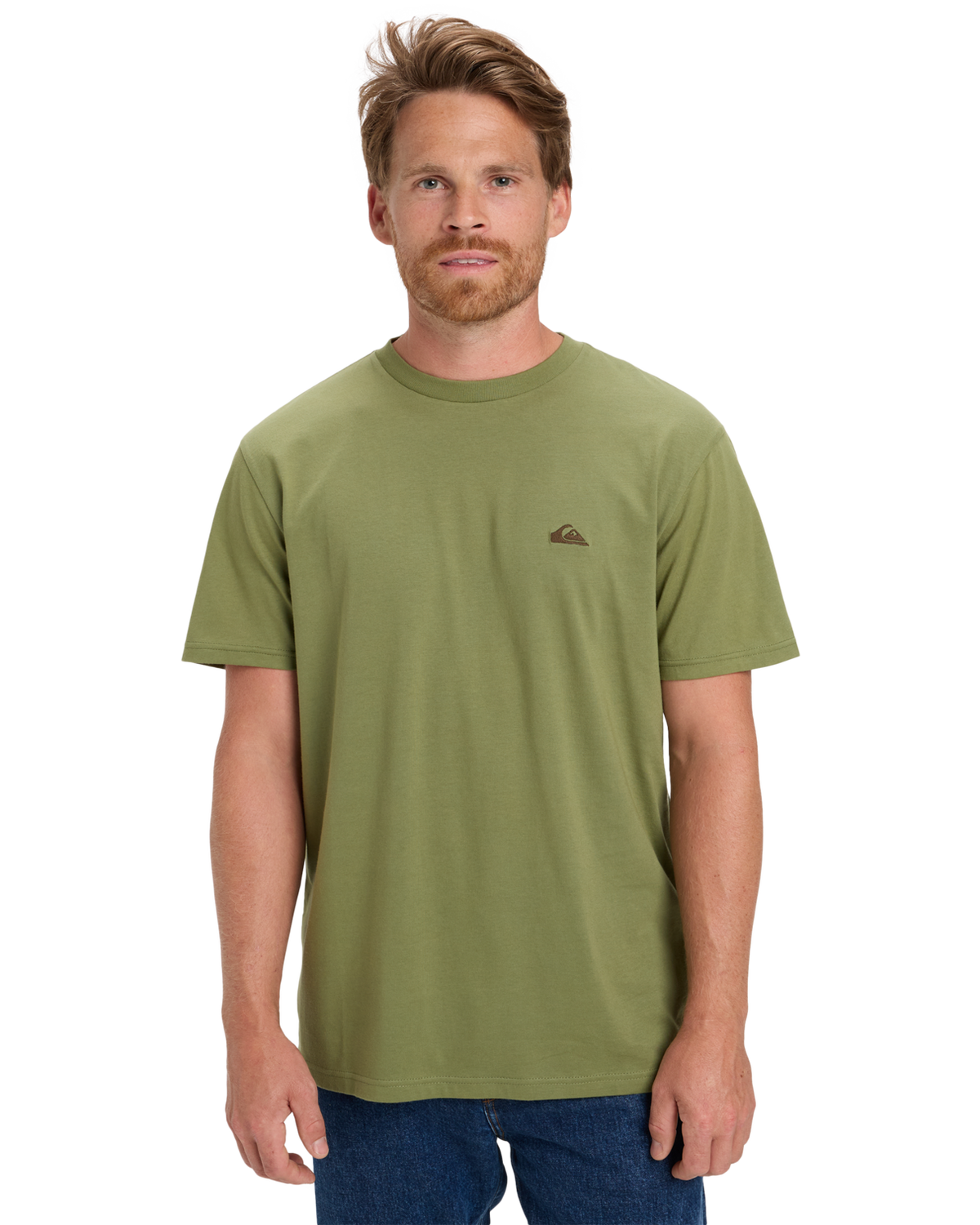 The Quiksilver Mens Basic T-Shirt in Loden Green