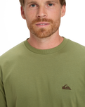 The Quiksilver Mens Basic T-Shirt in Loden Green