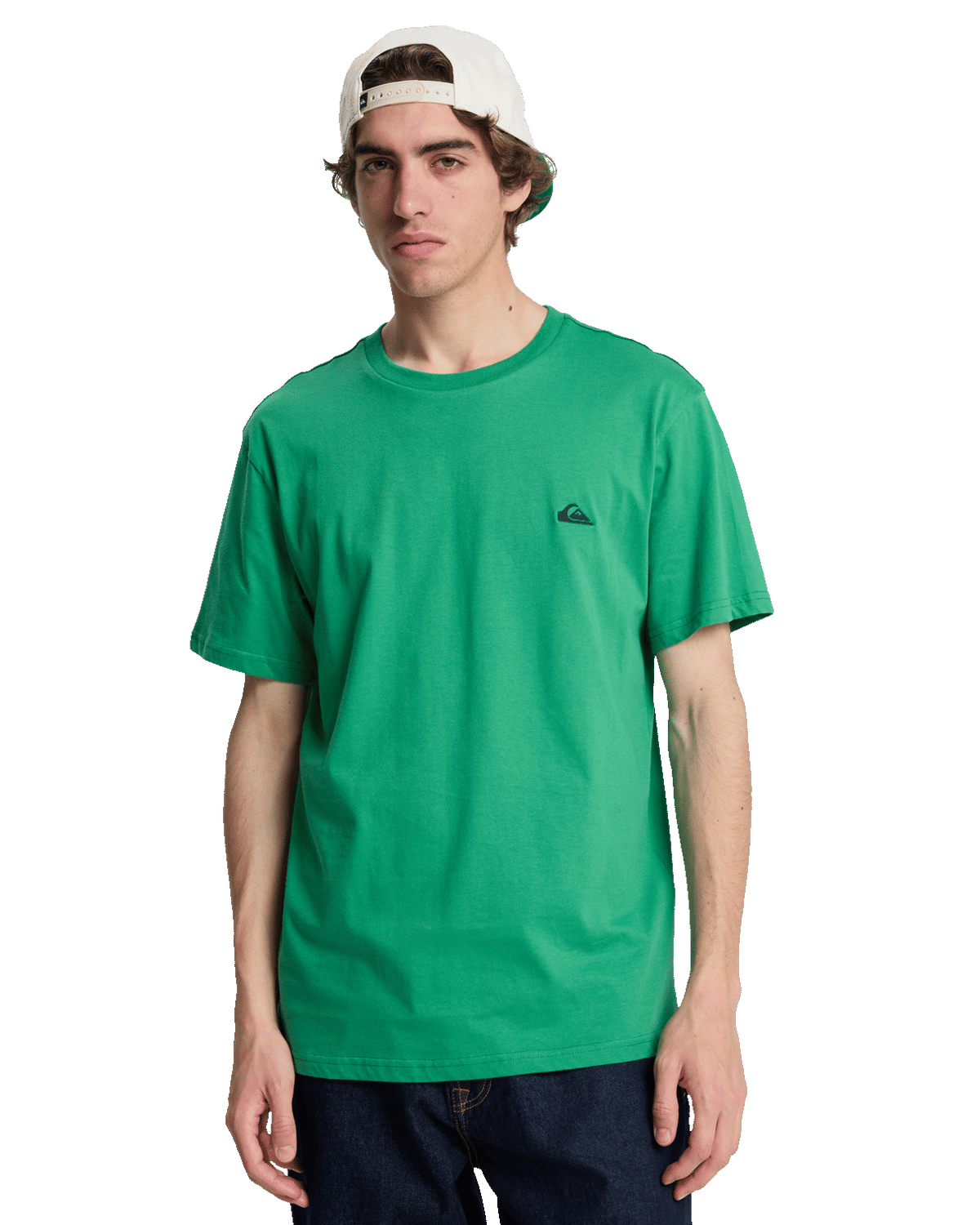 The Quiksilver Mens Basic T-Shirt in Leprechaun