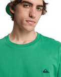 The Quiksilver Mens Basic T-Shirt in Leprechaun