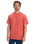 The Quiksilver Mens Basic T-Shirt in Mineral Red