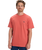 The Quiksilver Mens Basic T-Shirt in Mineral Red