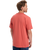 The Quiksilver Mens Basic T-Shirt in Mineral Red