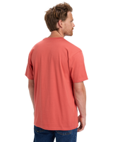 The Quiksilver Mens Basic T-Shirt in Mineral Red