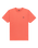 The Quiksilver Mens Basic T-Shirt in Mineral Red
