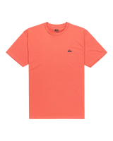 The Quiksilver Mens Basic T-Shirt in Mineral Red