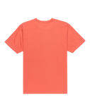 The Quiksilver Mens Basic T-Shirt in Mineral Red