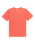 The Quiksilver Mens Basic T-Shirt in Mineral Red