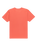 The Quiksilver Mens Basic T-Shirt in Mineral Red