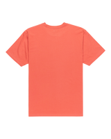 The Quiksilver Mens Basic T-Shirt in Mineral Red