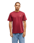 The Quiksilver Mens Basic T-Shirt in Oxblood Red
