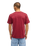 The Quiksilver Mens Basic T-Shirt in Oxblood Red