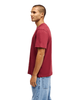 The Quiksilver Mens Basic T-Shirt in Oxblood Red