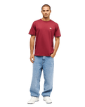 The Quiksilver Mens Basic T-Shirt in Oxblood Red