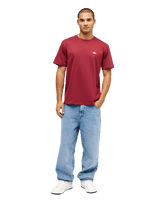 The Quiksilver Mens Basic T-Shirt in Oxblood Red