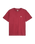 The Quiksilver Mens Basic T-Shirt in Oxblood Red
