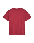 The Quiksilver Mens Basic T-Shirt in Oxblood Red
