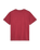 The Quiksilver Mens Basic T-Shirt in Oxblood Red