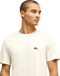 The Quiksilver Mens Basic T-Shirt in Bone White
