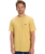 The Quiksilver Mens Basic T-Shirt in Rattan