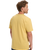 The Quiksilver Mens Basic T-Shirt in Rattan
