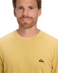 The Quiksilver Mens Basic T-Shirt in Rattan