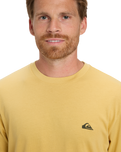 The Quiksilver Mens Basic T-Shirt in Rattan