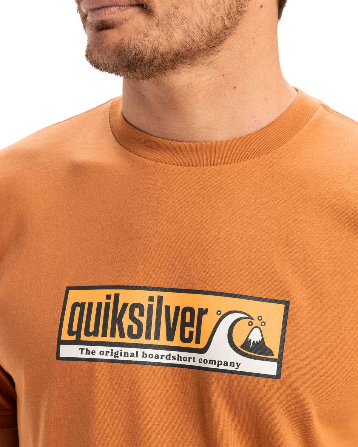 The Quiksilver Mens EVO Endless Type T-Shirt in Bran