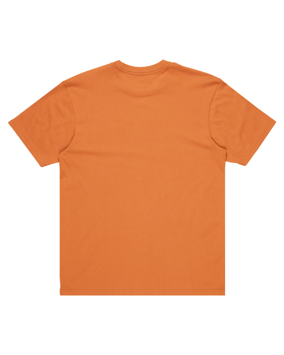 The Quiksilver Mens EVO Endless Type T-Shirt in Bran