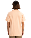 The Quiksilver Mens Fineline T-Shirt in Peach Parfait