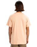The Quiksilver Mens Fineline T-Shirt in Peach Parfait