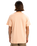 The Quiksilver Mens Fineline T-Shirt in Peach Parfait