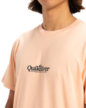 The Quiksilver Mens Fineline T-Shirt in Peach Parfait