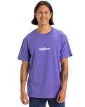 The Quiksilver Mens Fineline T-Shirt in Dusted Peri