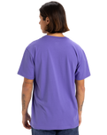 The Quiksilver Mens Fineline T-Shirt in Dusted Peri