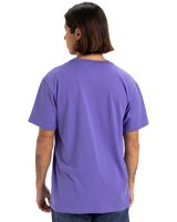 The Quiksilver Mens Fineline T-Shirt in Dusted Peri