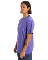 The Quiksilver Mens Fineline T-Shirt in Dusted Peri