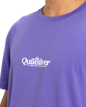 The Quiksilver Mens Fineline T-Shirt in Dusted Peri
