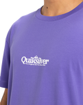 The Quiksilver Mens Fineline T-Shirt in Dusted Peri