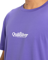 The Quiksilver Mens Fineline T-Shirt in Dusted Peri