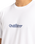The Quiksilver Mens Fineline T-Shirt in White