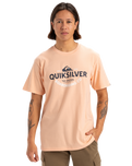 The Quiksilver Mens Typed Out T-Shirt in Peach Parfait