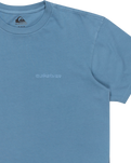 The Quiksilver Mens Salt Water T-Shirt in Coronet Blue