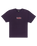 The Quiksilver Mens Mercury Double Up T-Shirt in Purple Velvet