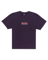 The Quiksilver Mens Mercury Double Up T-Shirt in Purple Velvet