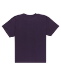 The Quiksilver Mens Mercury Double Up T-Shirt in Purple Velvet